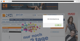 Screenshot of a Cross Site Scripting Lücke